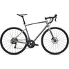 Allez Comp - Dolomite Metallic / Dove Grey