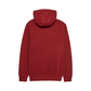 Absolute Pullover Hoodie