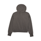Womens Wordmark Oversized Pullover Hoodie