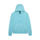Wordmark Oversized Pullover Hoodie