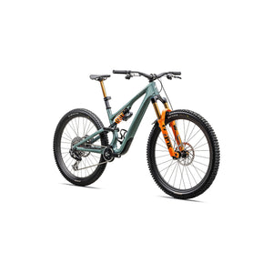 S-Works Stumpjumper 15 LTD - FOX DHX Live Valve Neo