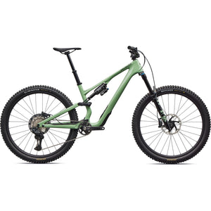 Stumpjumper 15 EVO Expert Di2