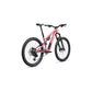 Stumpjumper 15 EVO Comp Alloy