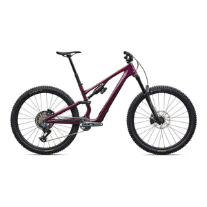 Stumpjumper 15 EVO Expert