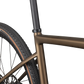 Diverge Expert Carbon