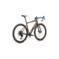 Diverge Expert Carbon