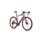 Diverge 4 Expert - Shimano GRX Di2