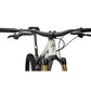 S-Works Turbo Levo SL 2 Carbon