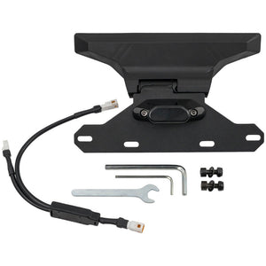 Piston ION eBike License Plate Mount