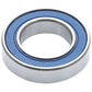 Standard Cartridge Bearing