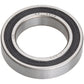 Sinc Ceramic Bearings