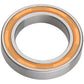 Sinc Ceramic Bearings