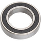 Sinc Ceramic Bearings