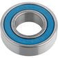 Standard Cartridge Bearing
