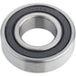 Standard Cartridge Bearing