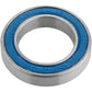 Standard Cartridge Bearing