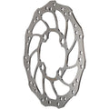 Storm Rohloff Disc Rotor