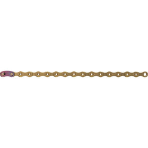 XX1 Eagle Chain