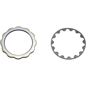 Crank Lockring and washers