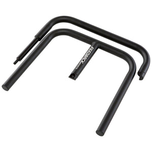 Scorpion Display Stand
