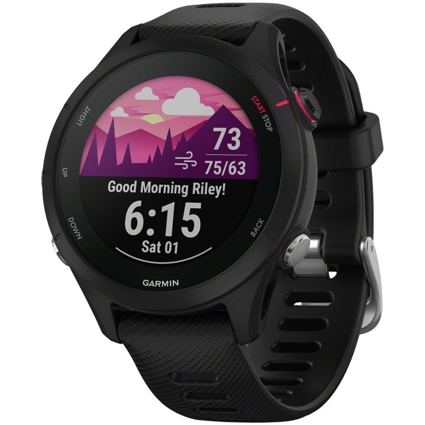 Forerunner 255S Music GPS Smartwatch