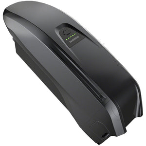 STEPS Battery