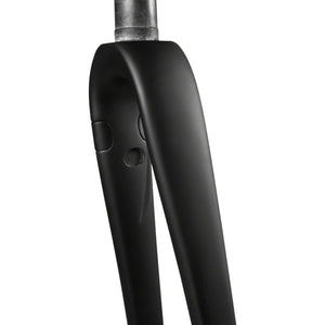 AR Disc Fork