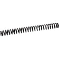 Domain Coil Spring