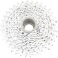 PG-1070 10 Speed Cassette