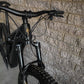 DEMO LEVO R EXPERT CARB/BNTGLDMET S3 - 29