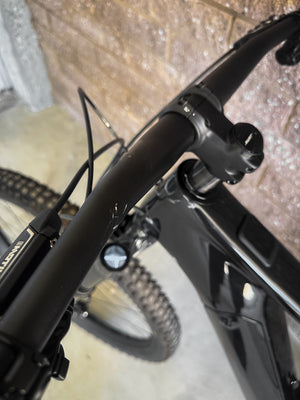 DEMO LEVO R EXPERT CARB/BNTGLDMET S3 - 29