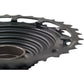 TRS Plus 12-Speed Upgrade Kit