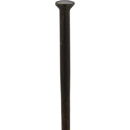 Competition Straight Pull Black Spokes