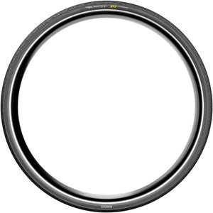 Angel DT Urban Tire