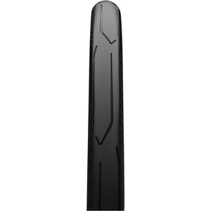 Urban Taraxagum Tire