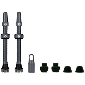 V2 Tubeless Valve Kit