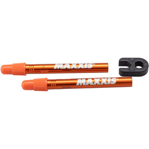 Modular Valve System (MVS) Tubeless Valves