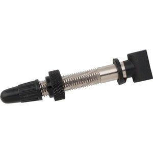 Tubeless Rim Valves