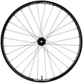 AM30 Foundation Rear Wheel